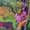 타샤의정원 이미지