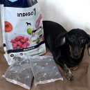 세븐 독 | 인디고 세븐 비 포 독 소고기&amp;오리 강아지사료 추천해요