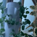 가든타워 이미지