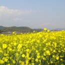 신천대로 이미지