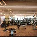 신호동체육관 이미지