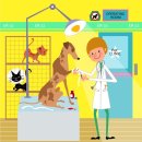 엘케이동물병원 | [해운대동물병원, 마린시티동물병원] 미스터동물병원 미용후기