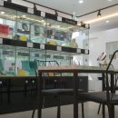 개청순한고양이 이미지