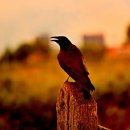 정문송산로 이미지