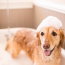 회화화장실 이미지