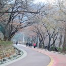 남산골약수터 이미지