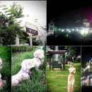 안면도펜션 이미지