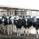 예찬목장 이미지