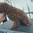 멍 삼촌 이미지