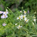 나그네쉼터 이미지