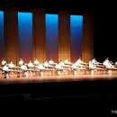 (사)한국가야금연주가협회 이미지