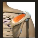 머슬팩토리24 삼천포점 이미지