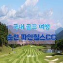 보석사우나 | 자연과 골프의 완벽한 조화, '순천파인힐스CC'