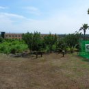 강정동-19 이미지