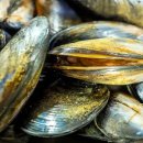 우리솔라에너지 이미지