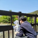 덕성 스크린골프 | [화성시우리꽃식물원] 수원근교꽃구경하기! 경기근교 가족나들이, 수원근처갈만한곳, 아이와가볼만한곳...