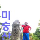 경상남도교육청 종합복지관 분원 미숭산교직원휴양원 | [미숭산 교직원 휴양원으로 오른 우중 미숭산 최단 등산 코스로의 산행] - 경남 합천 2024. 6. 22. 토