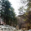 행복빌리지캠핑장 이미지