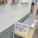 수니네 강아지 미용실 | 김포] 사뿐사뿐 | 캠핑도 가능한 김포애견카페 넓은 천연잔디운동장 애견카페 애견미용실 포토존 맛집