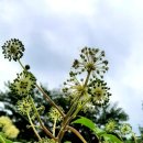 신한농장 이미지