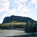 하도리 님과 함께 이미지