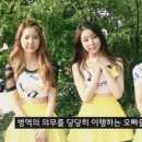스텔라 이미지