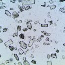 불당동물병원 이미지