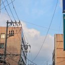 (주)페스티발푸드 비투지점 | 억까와 과소비로 가득한 일상을 모아모아