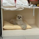 위드두유 이미지