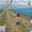 견우농장 이미지