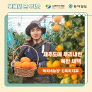 김복희농장 이미지