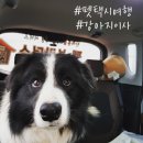 세븐일레븐 인천인하대점 이미지