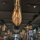 세계오지민속박물관 | [미국동부여행 솔직 후기] 뉴욕 자연사박물관: 하루는 부족해! (AMNH 핵심 투어 동선 &amp; 소감)