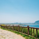 제주스카이라인휴양펜션 이미지