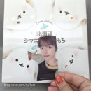 씨디트래블