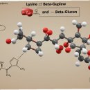 진심약국 이미지