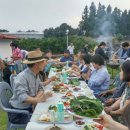 솔동산스토리 네이버블로그