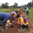 흥해서부초 병설유치원 이미지