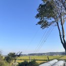 벽전도예가 이미지