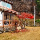 달빛펜션 | 양평독채펜션 달빛계곡집 방문후기