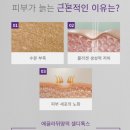 로미 에스테틱