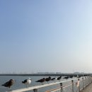 인천이 재밌다 이미지