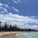 비치식당 이미지