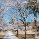 구드래 주차장 화장실 이미지