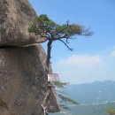 [6월의 산행] ☆… 속리산 묘봉(妙峰)의 암릉 길에서…(2) 이미지