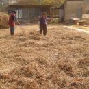 태광농장 이미지