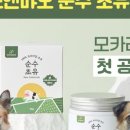 우프 앤 먀오 이미지