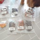 닥터훈트 이미지