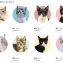 세븐일레븐 화성마도중앙점 | 화성 반려 마루에서 무료 고양이 입양 후기