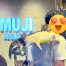 가방위에 고양이 이미지